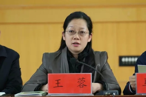 昆明市文联党组书记、主席王蓉发言。