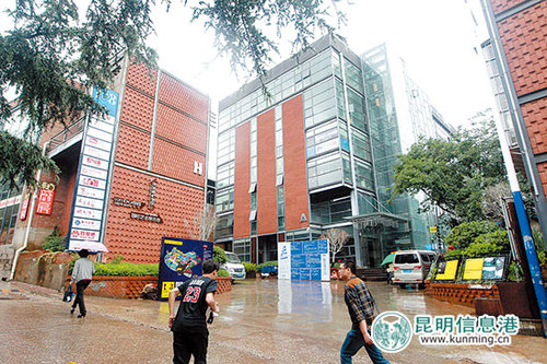 麻园的部分文艺精神被108智库传承了下来