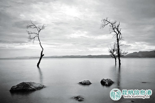 最美滇池湿地摄影大赛