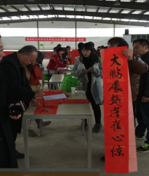 图片8