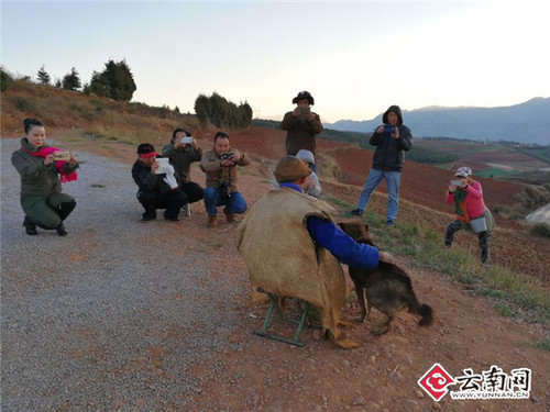 云南十位油画艺术家走进东川2