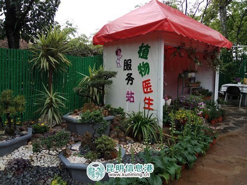 西华公园第三届鸢尾花展4月1日开幕 花展期间招募“小小植物医生” 西华公园第三届鸢尾花展4月1日开幕 花展期间招募“小小植物医生”