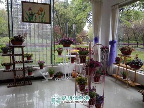 西华公园第三届鸢尾花展4月1日开幕 花展期间招募“小小植物医生” 西华公园第三届鸢尾花展4月1日开幕 花展期间招募“小小植物医生”