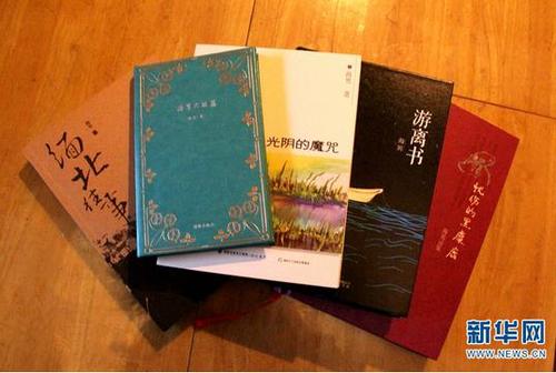 海男的部分著作。新华网 念新洪 摄