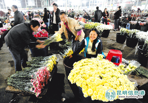 斗南老花市。