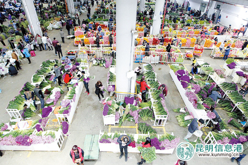 2015年斗南花卉市场升级转场“斗南·花花世界”。