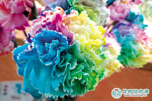 4ccc6a75a7381ab6a99720