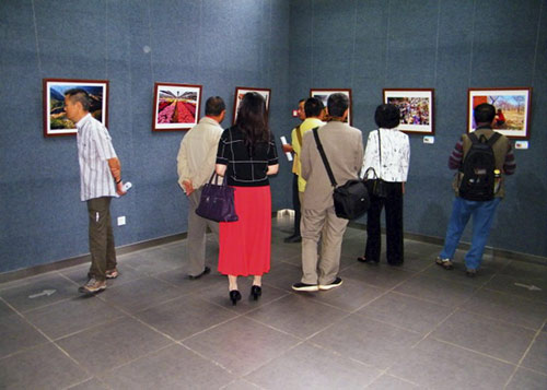 图片4