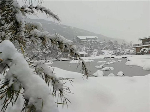 【图集】大雪纷飞!昆明2018年首场雪降临