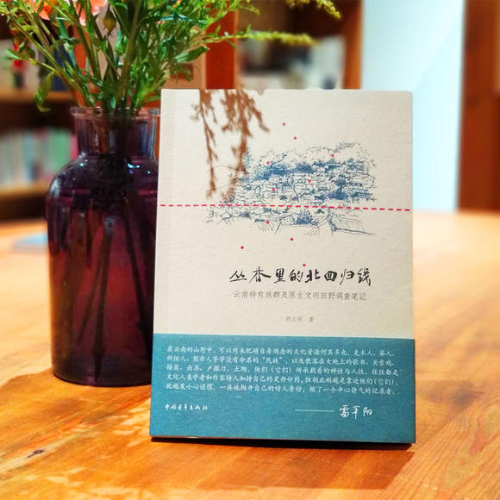 《丛林里的北回归线》胡正刚著
