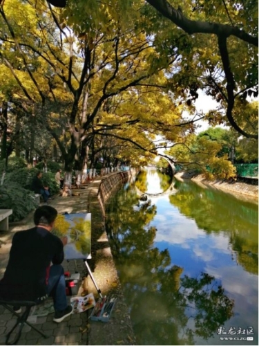 雨心摄