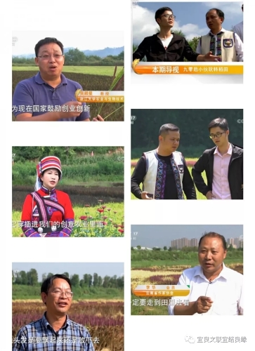 640.webp (11)
