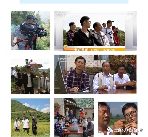 640.webp (10)