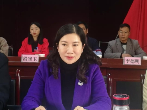 王雪梅书记