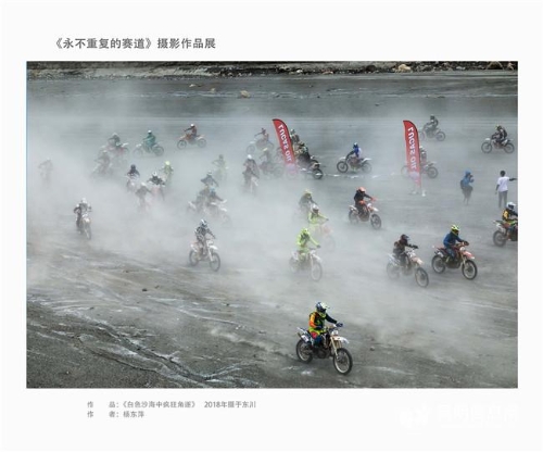 作品《白色沙海中疯狂角逐》