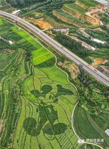 微信图片_20200815192034