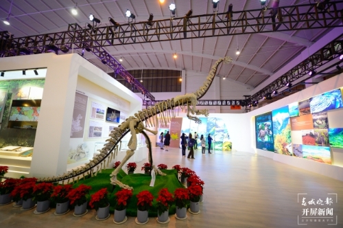 探秘COP15大会唯一的线下展（龙宇丹 摄）