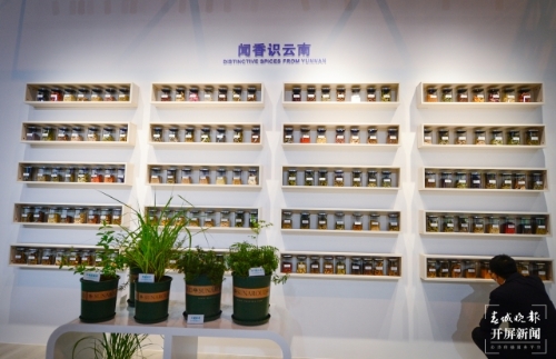 探秘COP15大会唯一的线下展（龙宇丹 摄）