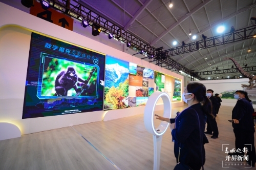 探秘COP15大会唯一的线下展（龙宇丹 摄）