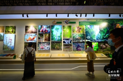 探秘COP15大会唯一的线下展（龙宇丹 摄）