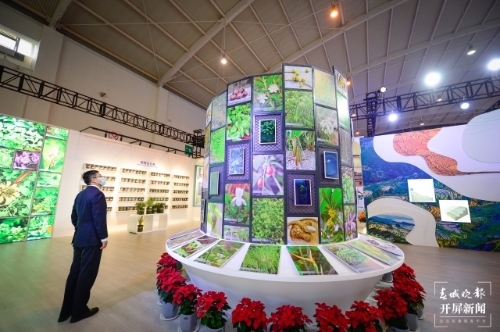 探秘COP15大会唯一的线下展（龙宇丹 摄）