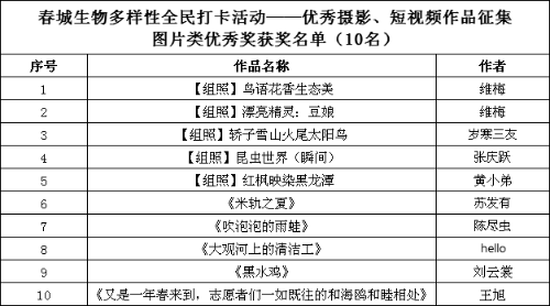 图片类优秀奖获奖名单
