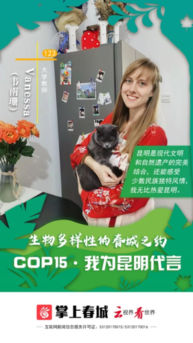 图片5