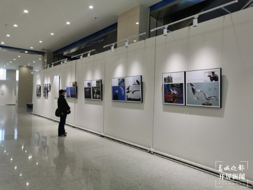 《从贝加尔湖飞来的精灵》摄影作品展在昆开展（开屏新闻记者 李赛 摄）