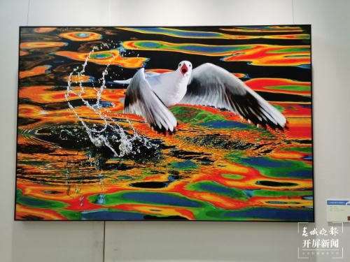 《从贝加尔湖飞来的精灵》摄影作品展在昆开展（开屏新闻记者 李赛 摄）