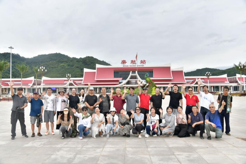 图片1