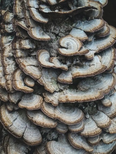 640 (19)