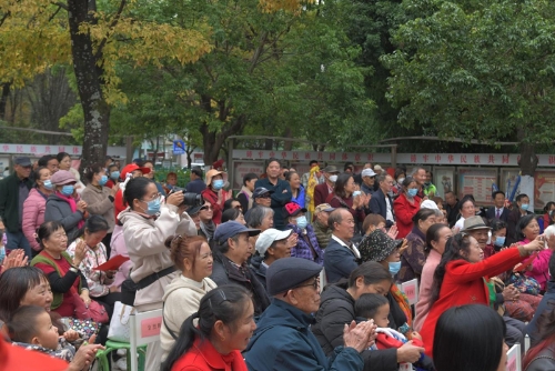 图片12