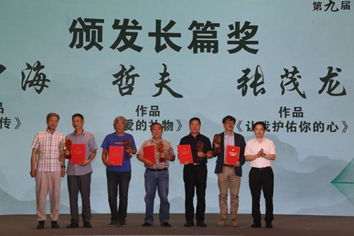 图片8