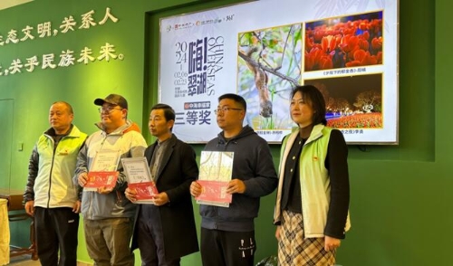 QQ截图20240306142102