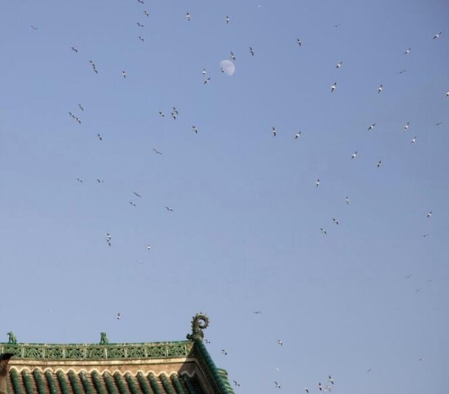 QQ截图20240306142133