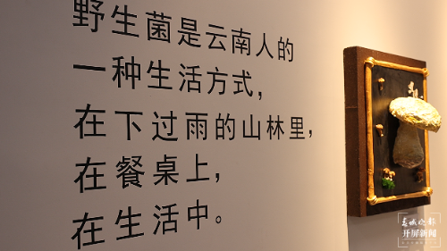微信图片_20240514084524.png