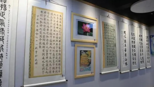 微信截图_20240927095058