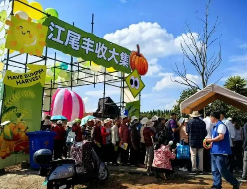 微信截图_20240927101948