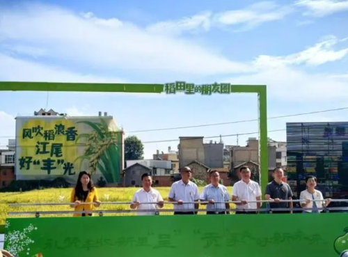微信截图_20240927102007
