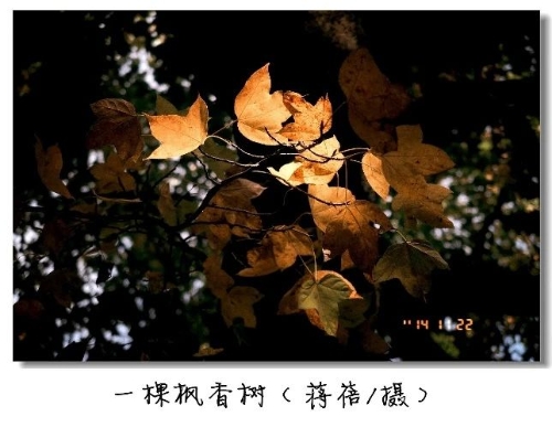 微信图片_20241121110628
