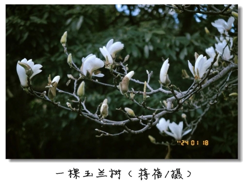 微信图片_20241121110632