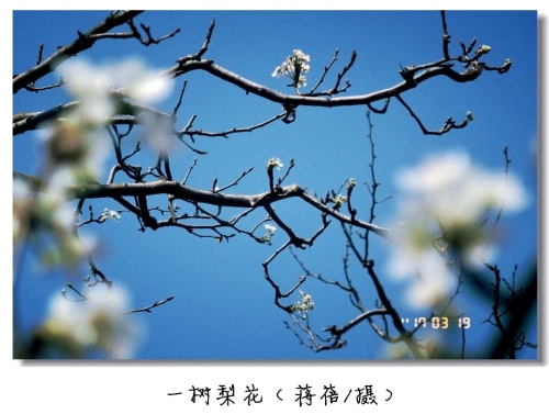 微信图片_20241121110850