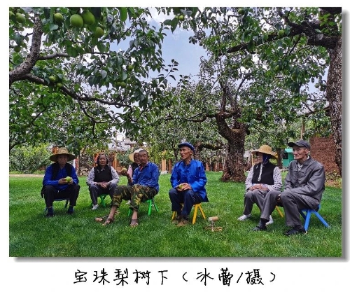 微信图片_20241121110853