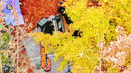 <span style='background-color:;'>17327841736</span>62