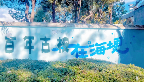 微信图片_20241210190327