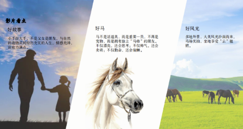 QQ20241216-145853