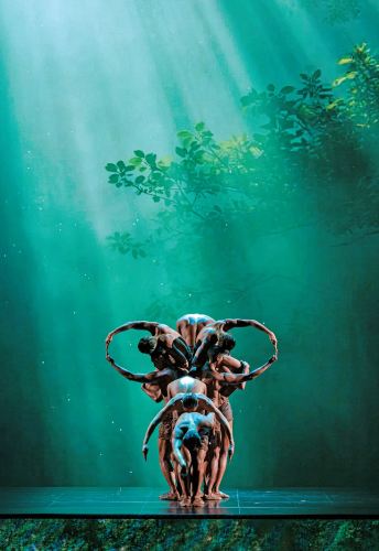 8dc265cf-6fa5-4858-897b-f88dd47c8415 8dc265cf-6fa5-4858-897b-f88dd47c8415